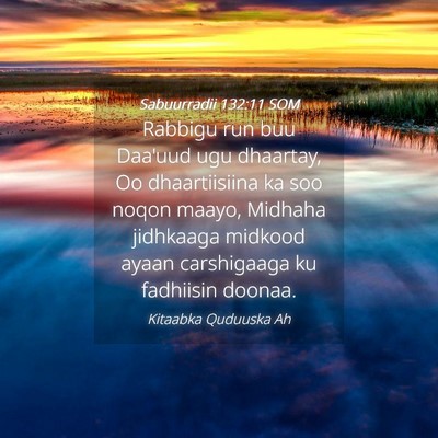 Picture 04 - Sabuurradii 132:11 SOM - Rabbigu run buu Daa'uud ugu dhaartay, Oo - Bible Verse Picture