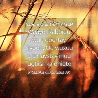 Picture 04 - Sabuurradii 132:13 SOM - Waayo, Rabbigu wuu doortay Siyoon, Oo wuxuu u - Bible Verse Picture