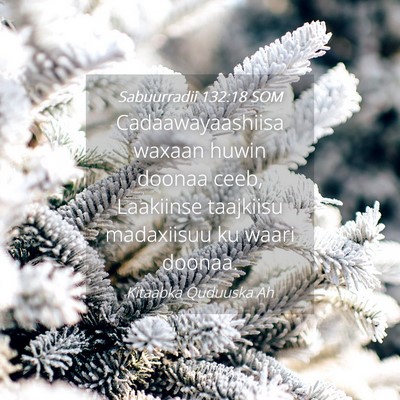 Picture 04 - Sabuurradii 132:18 SOM - Cadaawayaashiisa waxaan huwin doonaa ceeb, - Bible Verse Picture