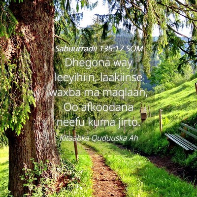 Picture 04 - Sabuurradii 135:17 SOM - Dhegona way leeyihiin, laakiinse waxba ma - Bible Verse Picture