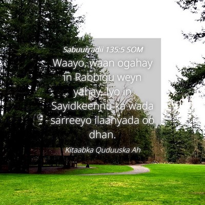 Picture 04 - Sabuurradii 135:5 SOM - Waayo, waan ogahay in Rabbigu weyn yahay, Iyo in - Bible Verse Picture