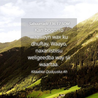 Picture 04 - Sabuurradii 136:17 SOM - Kan boqorro waaweyn wax ku dhuftay, Waayo, - Bible Verse Picture