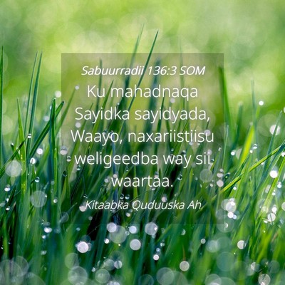 Picture 04 - Sabuurradii 136:3 SOM - Ku mahadnaqa Sayidka sayidyada, Waayo, - Bible Verse Picture