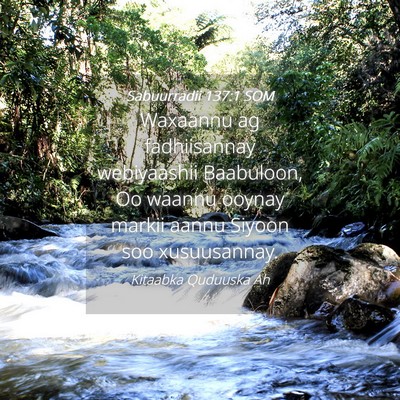 Picture 04 - Sabuurradii 137:1 SOM - Waxaannu ag fadhiisannay webiyaashii Baabuloon, - Bible Verse Picture