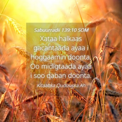 Picture 04 - Sabuurradii 139:10 SOM - Xataa halkaas gacantaada ayaa i hoggaamin doonta, - Bible Verse Picture