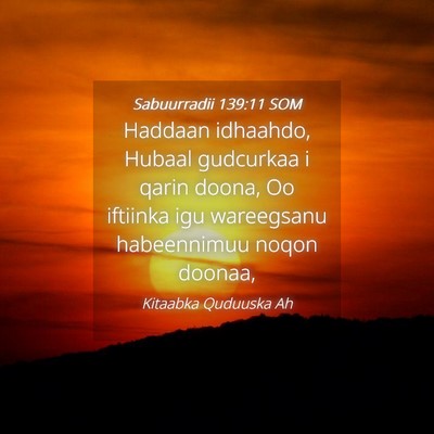 Picture 04 - Sabuurradii 139:11 SOM - Haddaan idhaahdo, Hubaal gudcurkaa i qarin doona, - Bible Verse Picture
