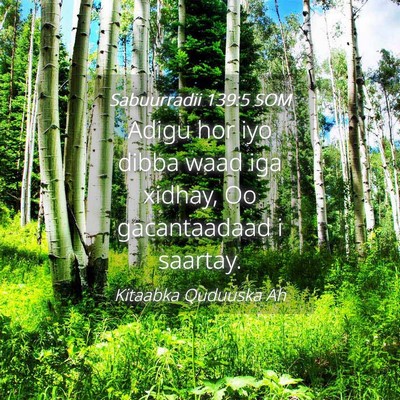 Picture 04 - Sabuurradii 139:5 SOM - Adigu hor iyo dibba waad iga xidhay, Oo - Bible Verse Picture