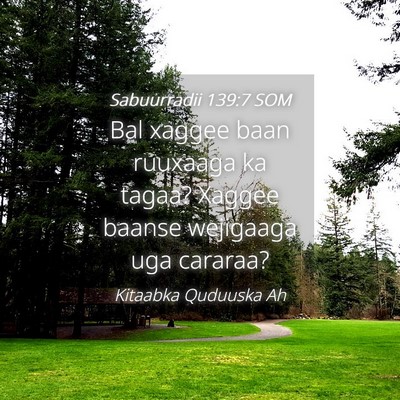 Picture 04 - Sabuurradii 139:7 SOM - Bal xaggee baan ruuxaaga ka tagaa? Xaggee baanse - Bible Verse Picture