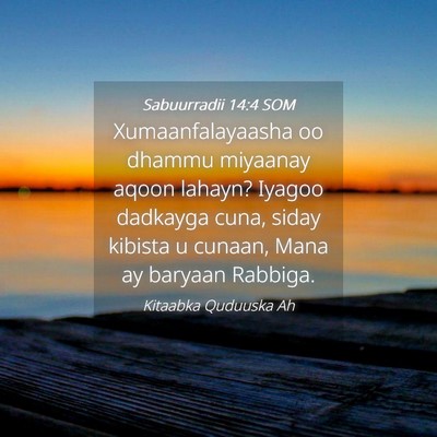 Picture 04 - Sabuurradii 14:4 SOM - Xumaanfalayaasha oo dhammu miyaanay aqoon lahayn? - Bible Verse Picture