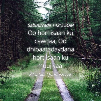 Picture 04 - Sabuurradii 142:2 SOM - Oo hortiisaan ku cawdaa, Oo dhibaatadaydana - Bible Verse Picture