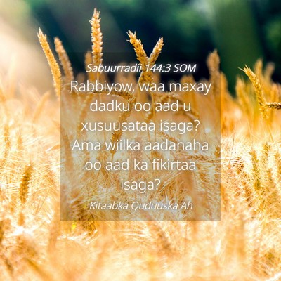 Picture 04 - Sabuurradii 144:3 SOM - Rabbiyow, waa maxay dadku oo aad u xusuusataa - Bible Verse Picture