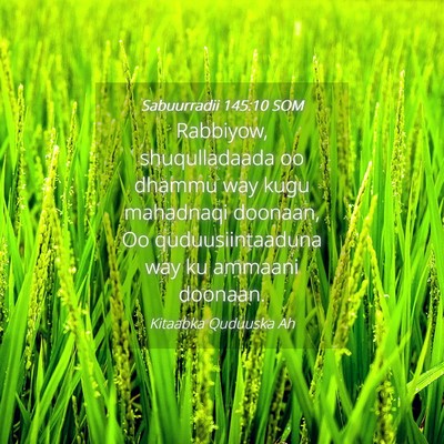 Picture 04 - Sabuurradii 145:10 SOM - Rabbiyow, shuqulladaada oo dhammu way kugu - Bible Verse Picture