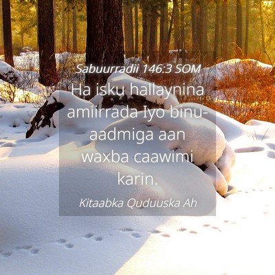 Picture 04 - Sabuurradii 146:3 SOM - Ha isku hallaynina amiirrada Iyo binu-aadmiga aan - Bible Verse Picture