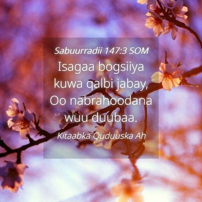 Picture 04 - Sabuurradii 147:3 SOM - Isagaa bogsiiya kuwa qalbi jabay, Oo nabrahoodana - Bible Verse Picture