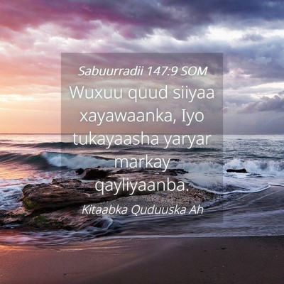 Picture 04 - Sabuurradii 147:9 SOM - Wuxuu quud siiyaa xayawaanka, Iyo tukayaasha - Bible Verse Picture