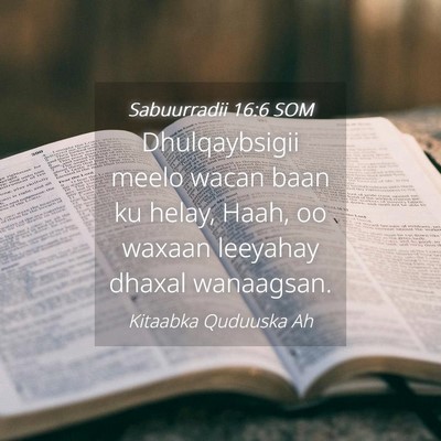 Picture 04 - Sabuurradii 16:6 SOM - Dhulqaybsigii meelo wacan baan ku helay, Haah, oo - Bible Verse Picture