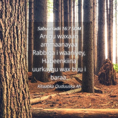 Picture 04 - Sabuurradii 16:7 SOM - Anigu waxaan ammaanayaa Rabbiga i waaniyey, - Bible Verse Picture