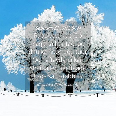 Picture 04 - Sabuurradii 17:13 SOM - Rabbiyow, kac, Oo isaga ka hor tag, oo dhulka - Bible Verse Picture