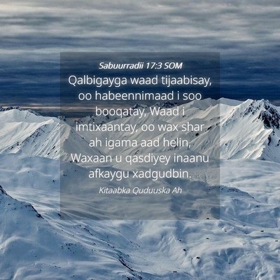 Picture 04 - Sabuurradii 17:3 SOM - Qalbigayga waad tijaabisay, oo habeennimaad i soo - Bible Verse Picture