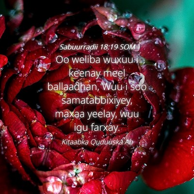 Picture 04 - Sabuurradii 18:19 SOM - Oo weliba wuxuu i keenay meel ballaadhan, Wuu i - Bible Verse Picture