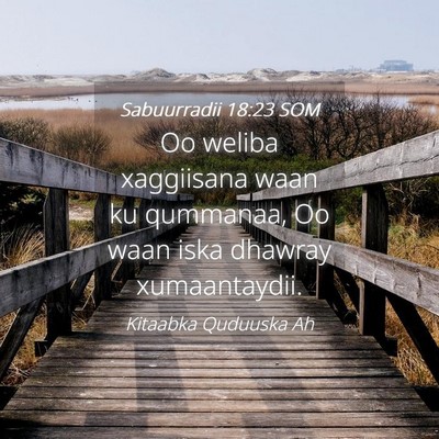 Picture 04 - Sabuurradii 18:23 SOM - Oo weliba xaggiisana waan ku qummanaa, Oo waan - Bible Verse Picture