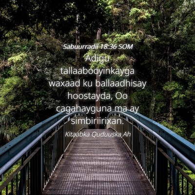 Picture 04 - Sabuurradii 18:36 SOM - Adigu tallaabooyinkayga waxaad ku ballaadhisay - Bible Verse Picture