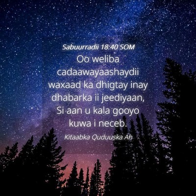 Picture 04 - Sabuurradii 18:40 SOM - Oo weliba cadaawayaashaydii waxaad ka dhigtay - Bible Verse Picture