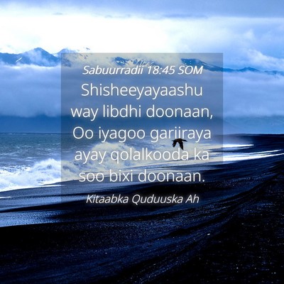 Picture 04 - Sabuurradii 18:45 SOM - Shisheeyayaashu way libdhi doonaan, Oo iyagoo - Bible Verse Picture