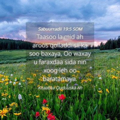 Picture 04 - Sabuurradii 19:5 SOM - Taasoo la mid ah aroos qolladdiisii ka soo - Bible Verse Picture
