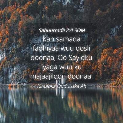 Picture 04 - Sabuurradii 2:4 SOM - Kan samada fadhiyaa wuu qosli doonaa, Oo Sayidku - Bible Verse Picture