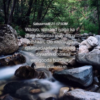 Picture 04 - Sabuurradii 21:12 SOM - Waayo, waxaad iyaga ka dhigi doontaa inay dib u - Bible Verse Picture