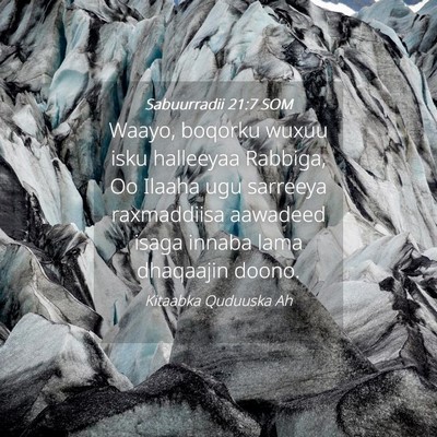 Picture 04 - Sabuurradii 21:7 SOM - Waayo, boqorku wuxuu isku halleeyaa Rabbiga, Oo - Bible Verse Picture