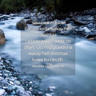Picture 04 - Sabuurradii 21:8 SOM - Gacantaadu waxay heli doontaa cadaawayaashaada oo - Bible Verse Picture