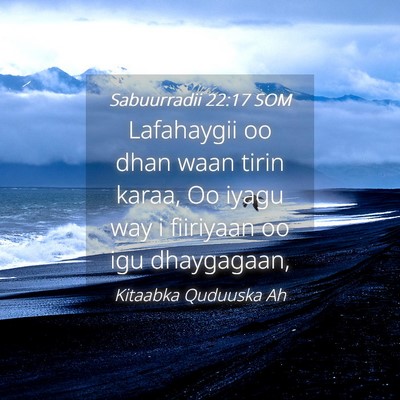 Picture 04 - Sabuurradii 22:17 SOM - Lafahaygii oo dhan waan tirin karaa, Oo iyagu way - Bible Verse Picture