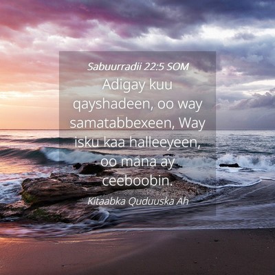 Picture 04 - Sabuurradii 22:5 SOM - Adigay kuu qayshadeen, oo way samatabbexeen, Way - Bible Verse Picture