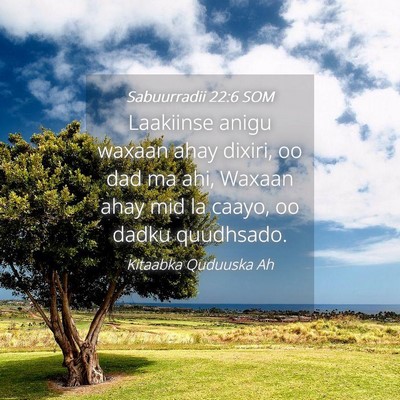 Picture 04 - Sabuurradii 22:6 SOM - Laakiinse anigu waxaan ahay dixiri, oo dad ma - Bible Verse Picture