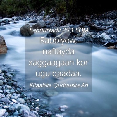 Picture 04 - Sabuurradii 25:1 SOM - Rabbiyow, naftayda xaggaagaan kor ugu - Bible Verse Picture