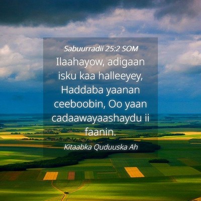 Picture 04 - Sabuurradii 25:2 SOM - Ilaahayow, adigaan isku kaa halleeyey, Haddaba - Bible Verse Picture