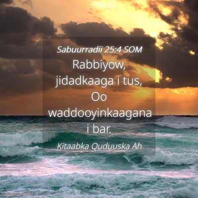 Picture 04 - Sabuurradii 25:4 SOM - Rabbiyow, jidadkaaga i tus, Oo waddooyinkaagana i - Bible Verse Picture