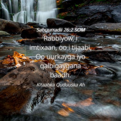 Picture 04 - Sabuurradii 26:2 SOM - Rabbiyow, i imtixaan, oo i tijaabi, Oo uurkayga - Bible Verse Picture