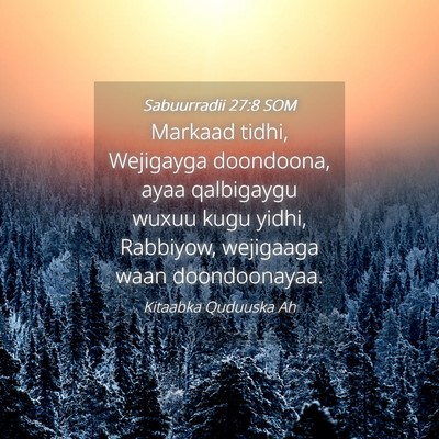 Picture 04 - Sabuurradii 27:8 SOM - Markaad tidhi, Wejigayga doondoona, ayaa - Bible Verse Picture