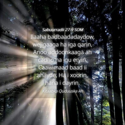 Picture 04 - Sabuurradii 27:9 SOM - Ilaaha badbaadadaydow, wejigaaga ha iga qarin, - Bible Verse Picture