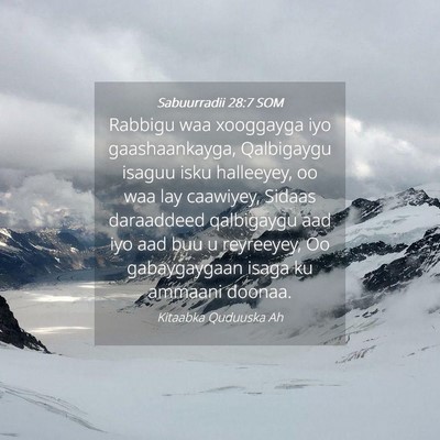 Picture 04 - Sabuurradii 28:7 SOM - Rabbigu waa xooggayga iyo gaashaankayga, - Bible Verse Picture