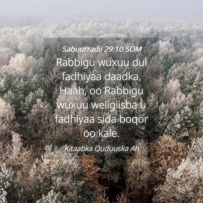 Picture 04 - Sabuurradii 29:10 SOM - Rabbigu wuxuu dul fadhiyaa daadka, Haah, oo - Bible Verse Picture