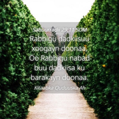 Picture 04 - Sabuurradii 29:11 SOM - Rabbigu dadkiisuu xoogayn doonaa, Oo Rabbigu - Bible Verse Picture