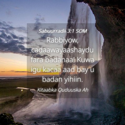 Picture 04 - Sabuurradii 3:1 SOM - Rabbiyow, cadaawayaashaydu fara badanaa! Kuwa igu - Bible Verse Picture