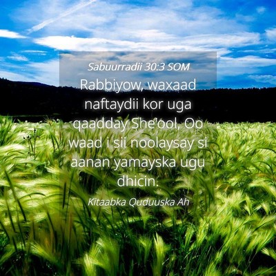 Picture 04 - Sabuurradii 30:3 SOM - Rabbiyow, waxaad naftaydii kor uga qaadday - Bible Verse Picture