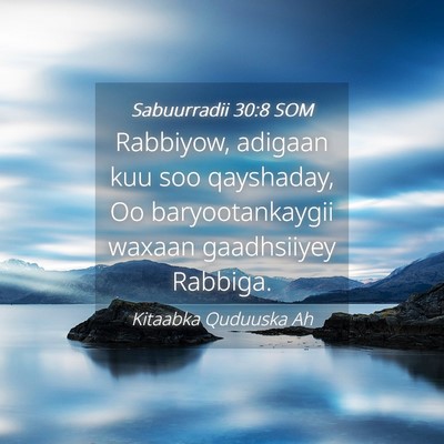 Picture 04 - Sabuurradii 30:8 SOM - Rabbiyow, adigaan kuu soo qayshaday, Oo - Bible Verse Picture