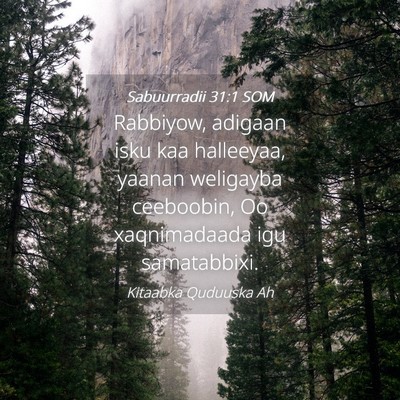 Picture 04 - Sabuurradii 31:1 SOM - Rabbiyow, adigaan isku kaa halleeyaa, yaanan - Bible Verse Picture