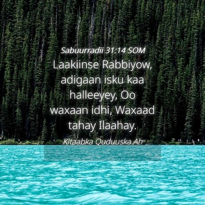 Picture 04 - Sabuurradii 31:14 SOM - Laakiinse Rabbiyow, adigaan isku kaa halleeyey, - Bible Verse Picture
